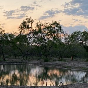 Meet your Posher, Alejandro